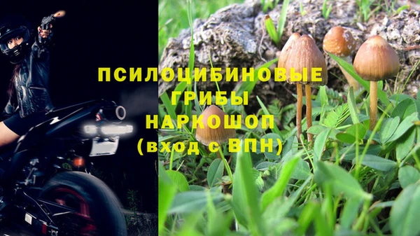 стаф Мегион
