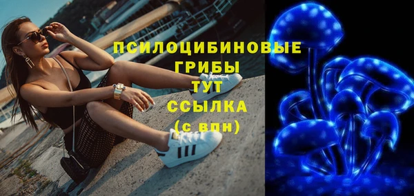 ПСИЛОЦИБИНОВЫЕ ГРИБЫ Алексеевка