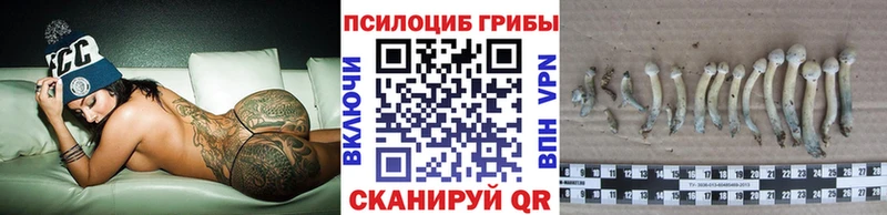 Псилоцибиновые грибы прущие грибы  ссылка на мегу онион  Нариманов 
